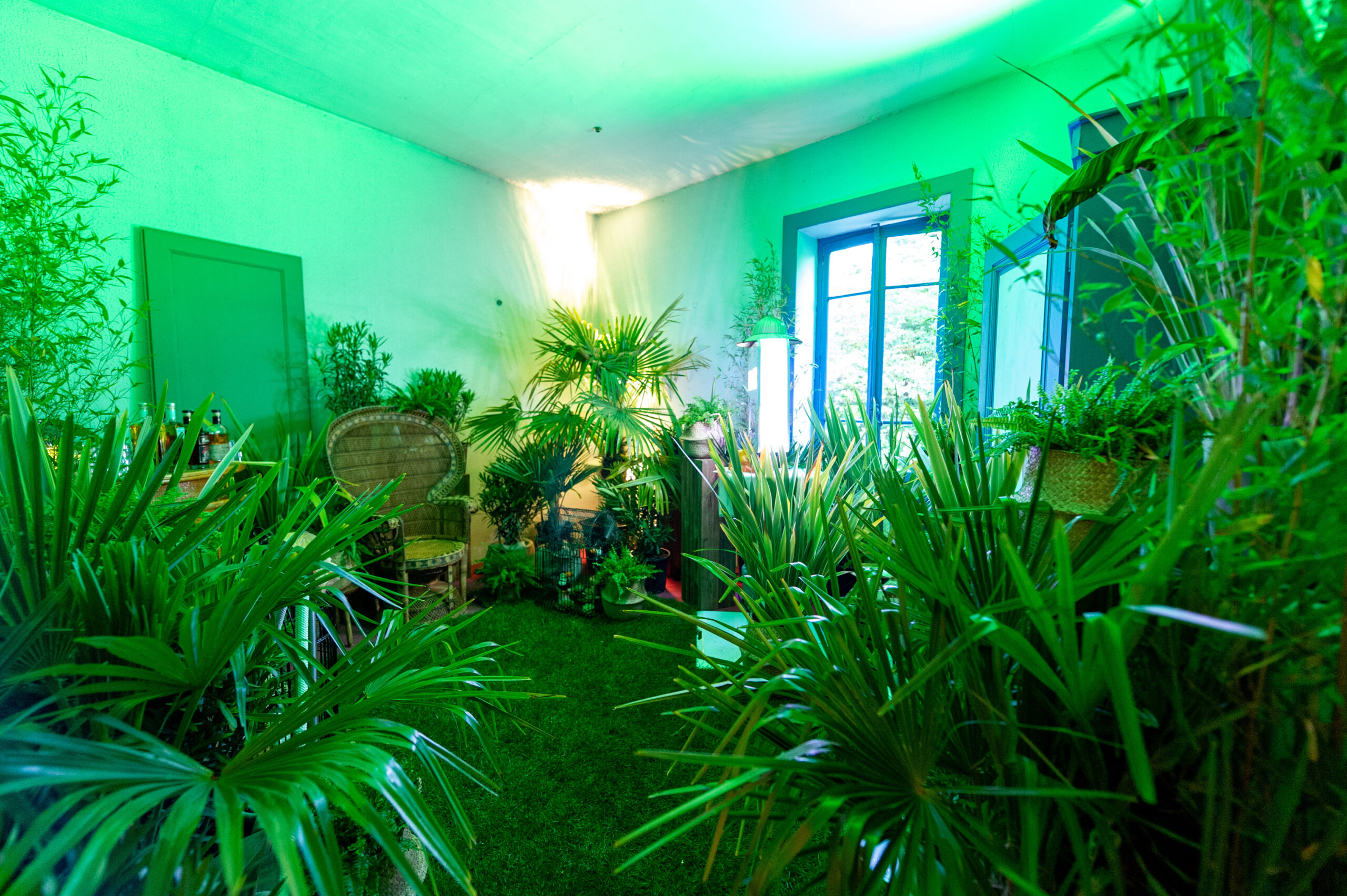 Pièce envahis de plantes pour la Demolition Party