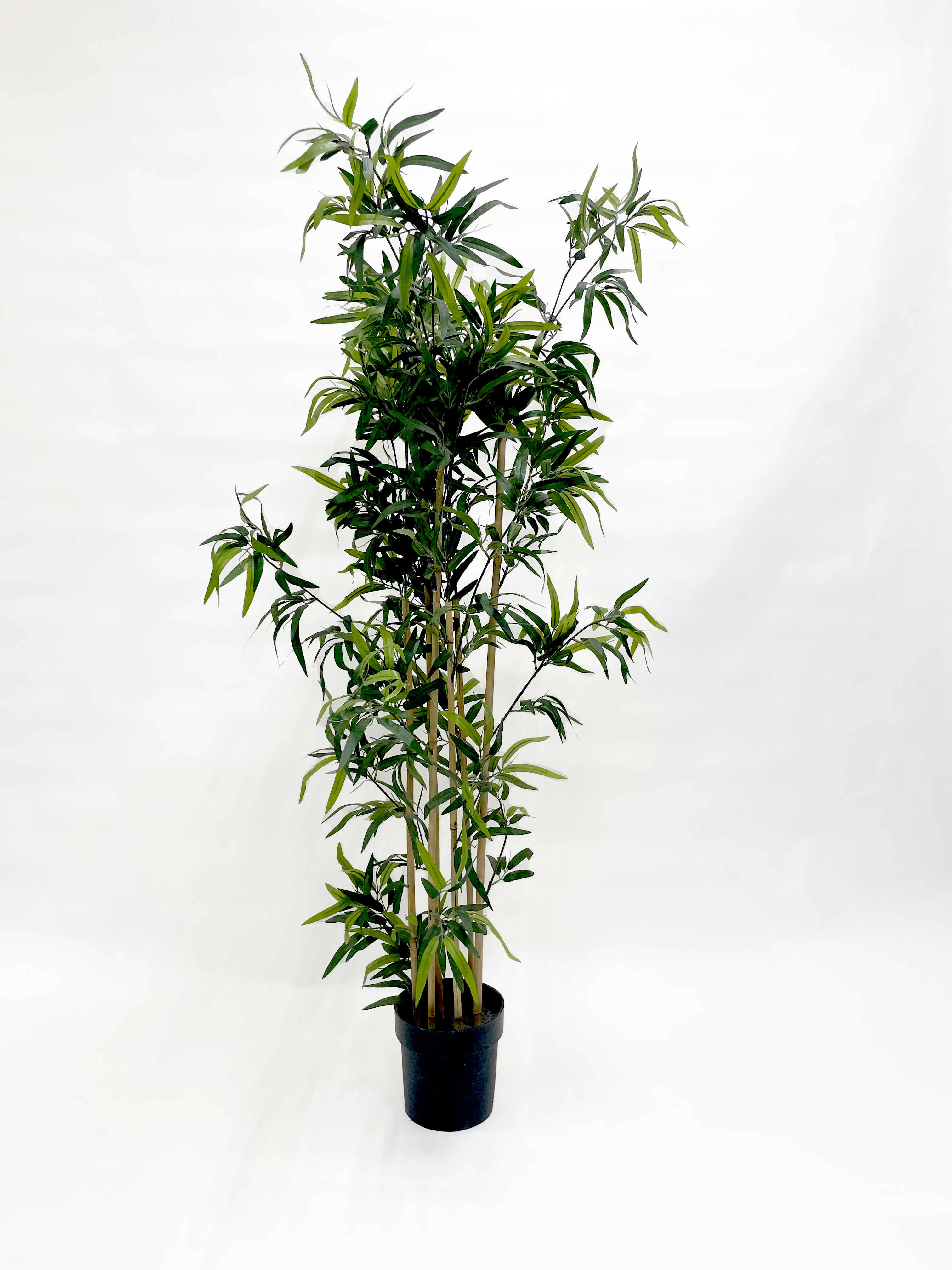 plante artificielle bambou en location lyon